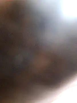 Snapshot of Carlosshaefer chatting on 02-12-26, 04:51 Carlosshaefer online show from 02-12-26, 04:51