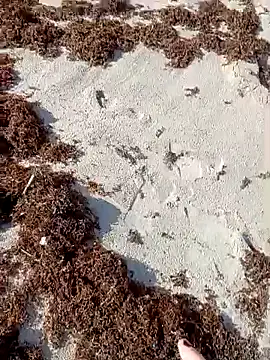 sarahkat86 online show from 10-09-25, 01:11