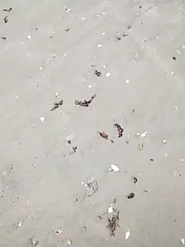 sarahkat86 online show from 04-06-26, 04:52