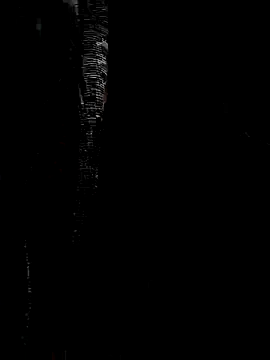 Snapshot of Mateo_6910 chatting on 09-22-25, 03:45 Mateo 6910 online show from 09-22-25, 03:45