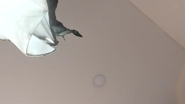 sweet  vanessa1 online show from 03-09-26, 07:39