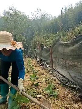 ngocngoc cute online show from 04-15-26, 03:56