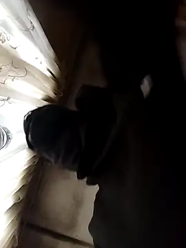 BlessingShikisha online show from 03-20-26, 04:24