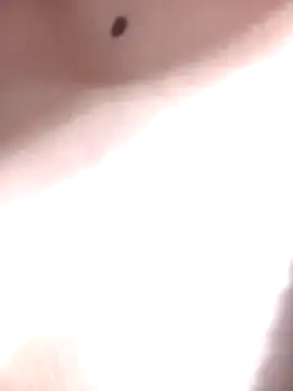 LINA-DALOUA online show from 11-28-25, 03:12