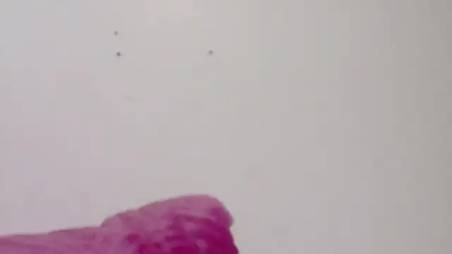 Snapshot of habdiela chatting on 02-18-26, 03:04 habdiela online show from 02-18-26, 03:04