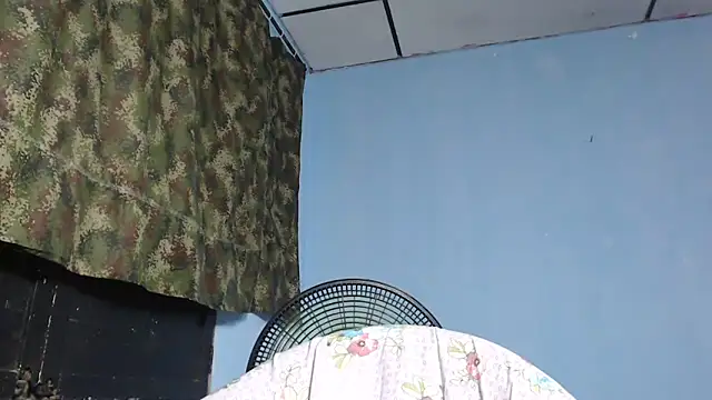 maggi hotsson online show from 11-17-25, 11:53