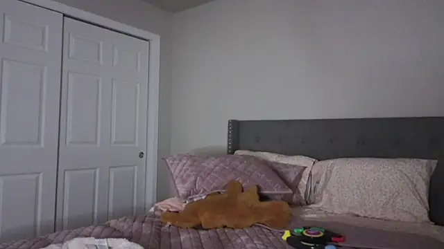 bambifarrina online show from 10-02-25, 01:53