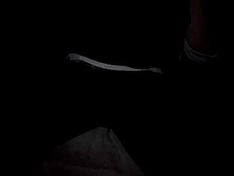 Snapshot of JrSinsx chatting on 09-24-25, 08:26 JrSinsx online show from 09-24-25, 08:26