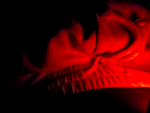 Snapshot of JrSinsx chatting on 10-07-25, 08:10 JrSinsx online show from 10-07-25, 08:10