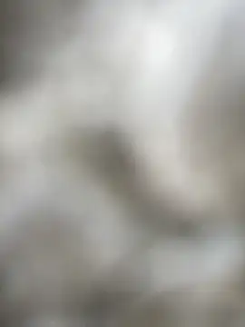 Foxxy Doll online show from 02-05-26, 03:19