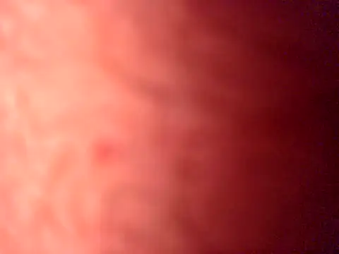 iamthepublickmasterbater online show from 04-19-26, 03:57