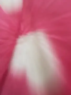 Chillo956 online show from 03-06-26, 03:29