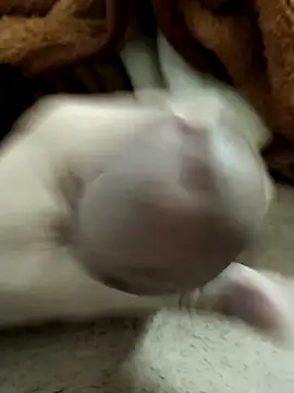 Zepe 12 online show from 03-23-26, 10:20