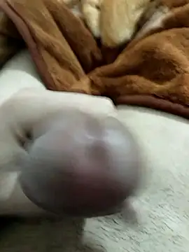 Zepe 12 online show from 01-08-26, 05:19