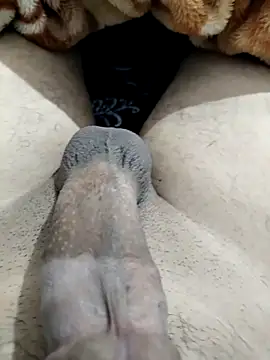 Zepe 12 online show from 03-10-26, 09:19