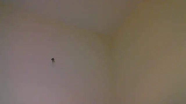 Snapshot of str8matesirishoz chatting on 10-15-25, 04:00 str8matesirishoz online show from 10-15-25, 04:00