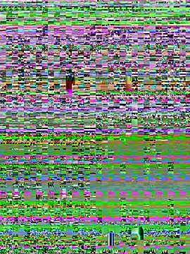 Snapshot of YOOUR_EVAA chatting on 07-08-26, 09:10 YOOUR EVAA online show from 07-08-26, 09:10