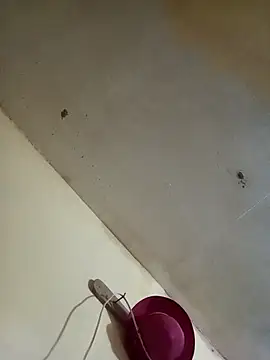 RandalHot online show from 11-27-25, 09:37