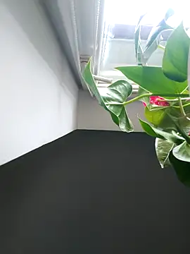 Snapshot of Czarnoksieznik chatting on 11-02-25, 12:10 Czarnoksieznik online show from 11-02-25, 12:10