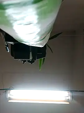 Snapshot of Czarnoksieznik chatting on 10-27-25, 04:52 Czarnoksieznik online show from 10-27-25, 04:52