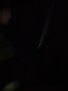 Daliz online show from 06-19-26, 03:12