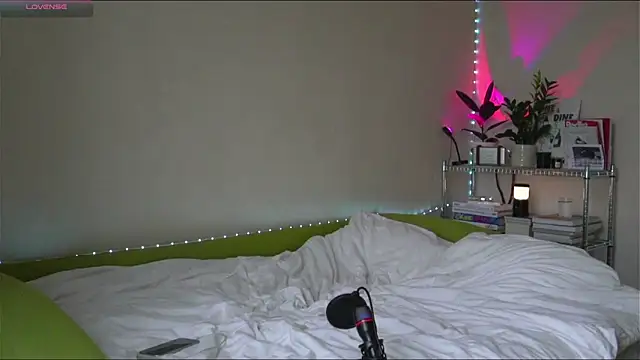 BoyTurtle online show from 11-09-25, 11:14