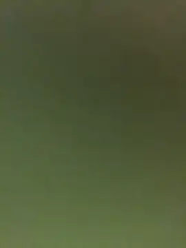 JuanitaMore01 online show from 02-16-26, 09:56