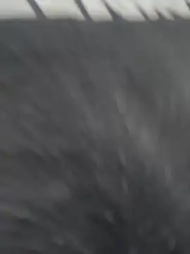 JuanitaMore01 online show from 02-21-26, 10:23