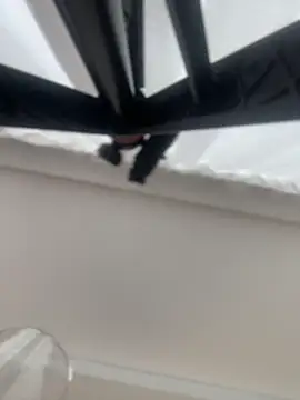 JuanitaMore01 online show from 04-05-26, 08:26