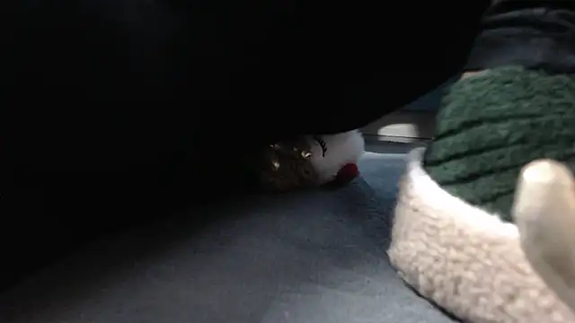 aellabeyonce online show from 12-05-25, 02:37