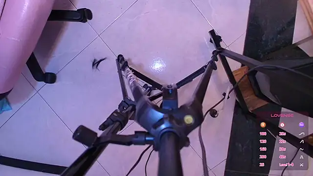 Terraelowen online show from 11-01-25, 11:48