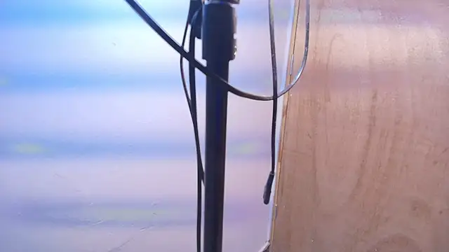 Terraelowen online show from 02-20-26, 11:23