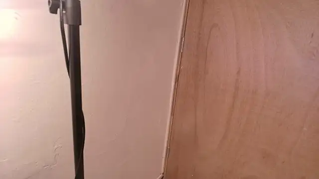 Terraelowen online show from 03-15-26, 11:17