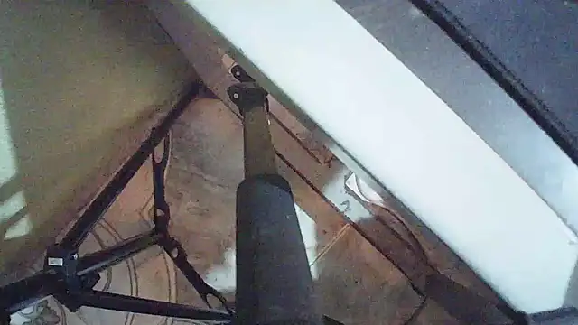 Terraelowen online show from 03-24-26, 01:11