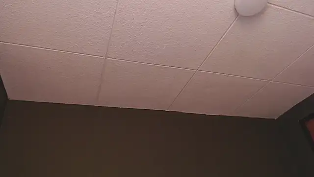 PaulEvens online show from 12-16-25, 01:26