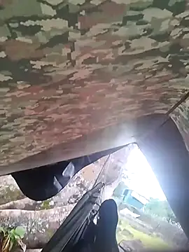 Alabestia12 online show from 11-05-25, 09:18