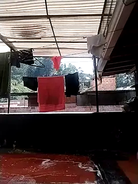 solpeich online show from 10-31-25, 03:08