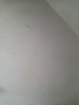 iamlalamilano online show from 03-29-26, 03:02