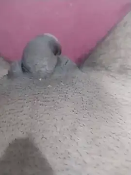 motoboytkbh online show from 04-09-26, 08:04