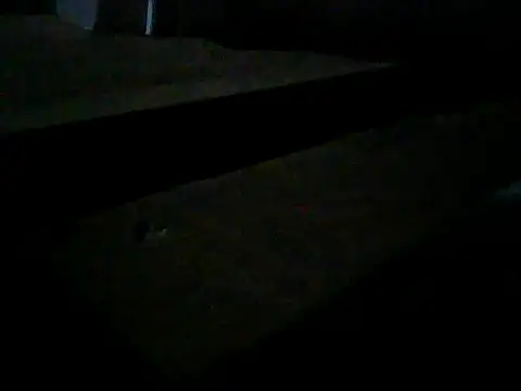 Snapshot of Master2000K chatting on 02-28-26, 11:15 Master2000K online show from 02-28-26, 11:15