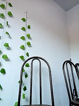 indiazinhabella27 online show from 11-30-25, 09:32