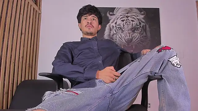 DimitriDeluxe online show from 10-11-25, 08:21