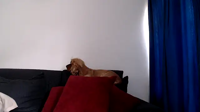 evilheart 69 online show from 12-18-25, 05:50