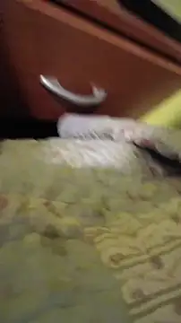 juanfritaa21 online show from 03-08-26, 01:33