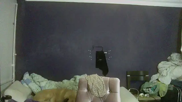 turkishTransEfsun online show from 11-26-25, 05:57