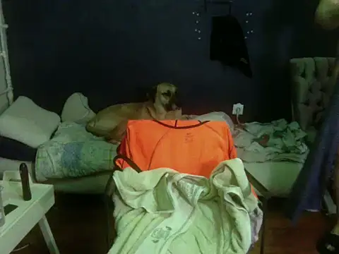 turkishTransEfsun online show from 02-28-26, 11:26