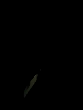 monty935 online show from 11-30-25, 01:23