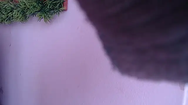 IVONNE COLLINS33 online show from 09-24-25, 01:50