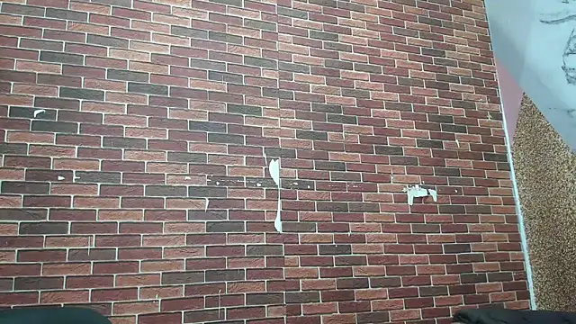 Sexvergon 26 online show from 03-22-26, 01:23