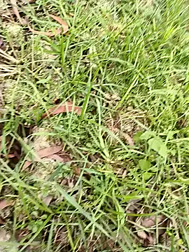 hotboy43339 online show from 03-31-26, 11:45